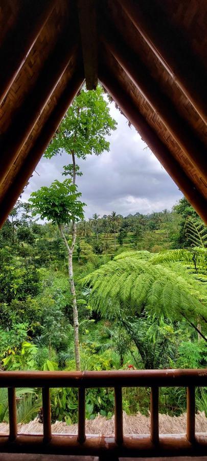 Second Home Bungalows テテバトゥ エクステリア 写真