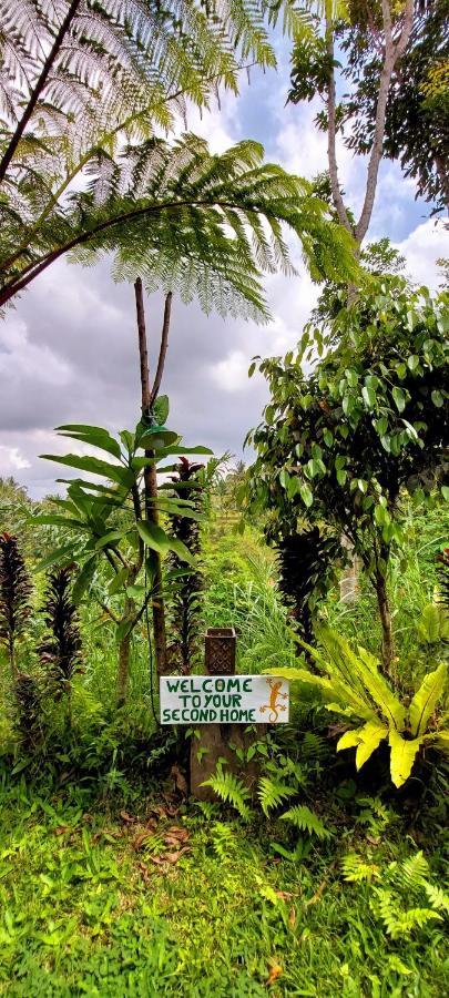 Second Home Bungalows テテバトゥ エクステリア 写真
